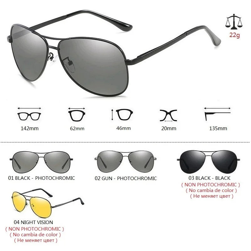 LOMINE -  Aviator Sunglasses