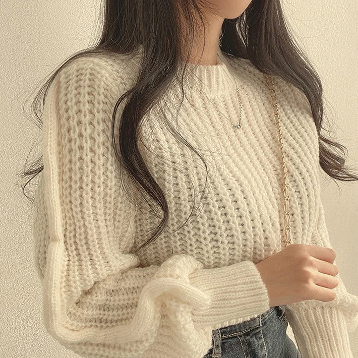 Lora Stylish Cropped Sweater