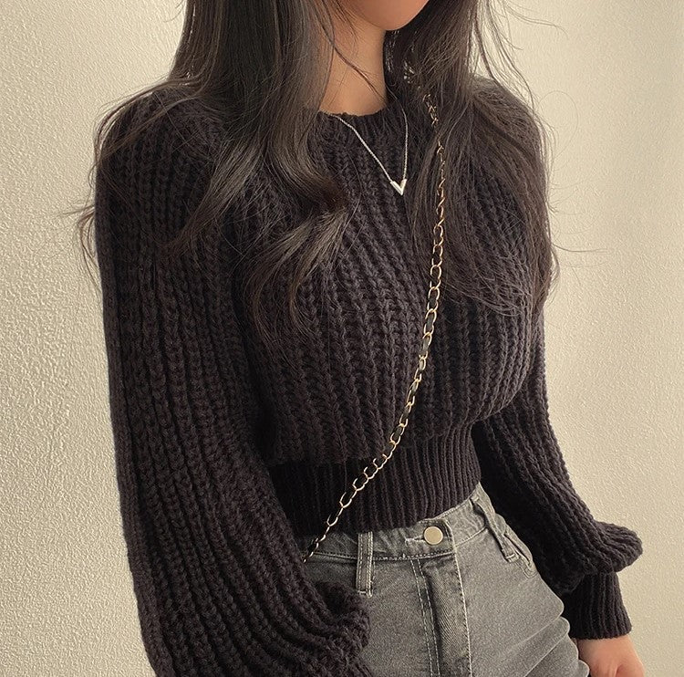 Lora Stylish Cropped Sweater