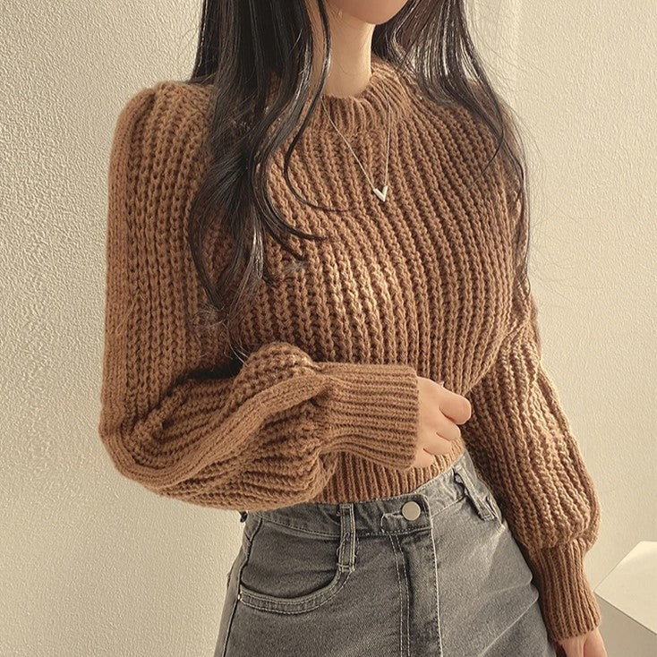 Lora Stylish Cropped Sweater