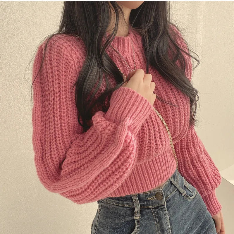 Lora Stylish Cropped Sweater