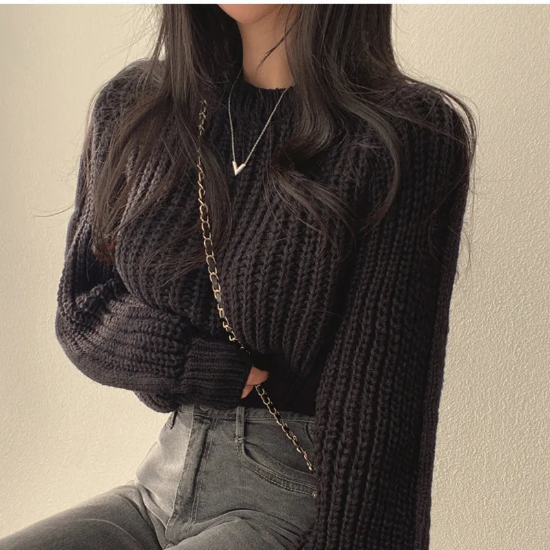 Lora Stylish Cropped Sweater