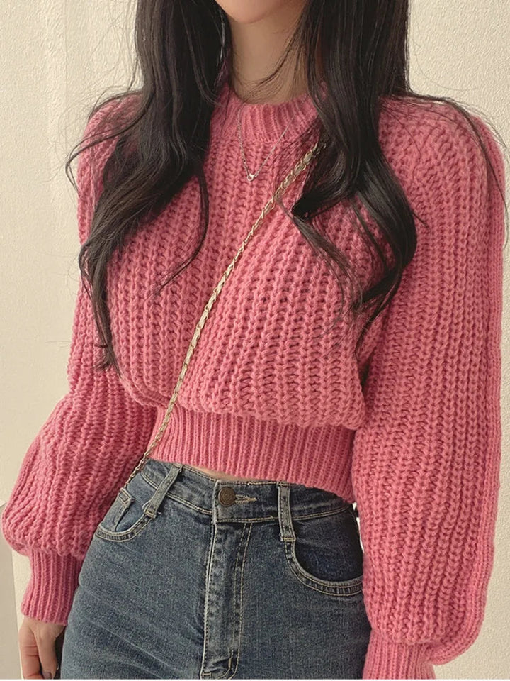 Lora Stylish Cropped Sweater