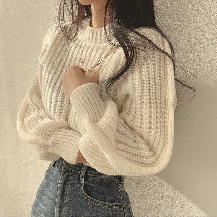 Lora Stylish Cropped Sweater